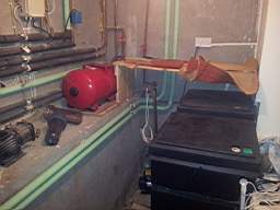 fkillineybeforeinternal 1370.jpg